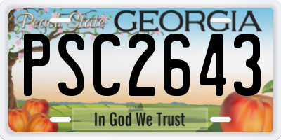 GA license plate PSC2643