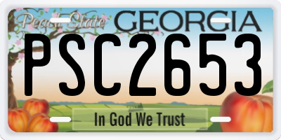 GA license plate PSC2653