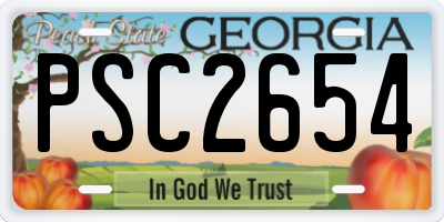 GA license plate PSC2654