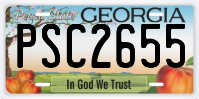 GA license plate PSC2655