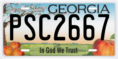 GA license plate PSC2667