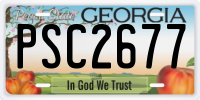 GA license plate PSC2677