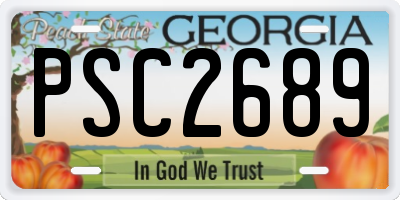GA license plate PSC2689