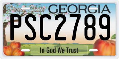 GA license plate PSC2789