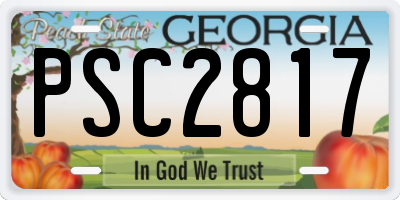 GA license plate PSC2817