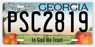 GA license plate PSC2819