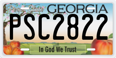 GA license plate PSC2822