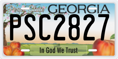 GA license plate PSC2827