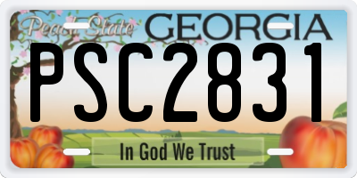 GA license plate PSC2831