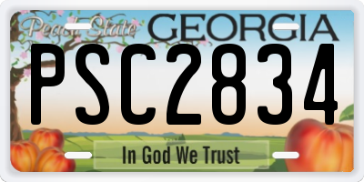 GA license plate PSC2834