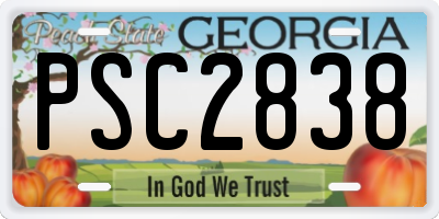 GA license plate PSC2838