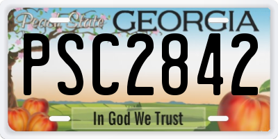 GA license plate PSC2842