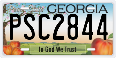 GA license plate PSC2844