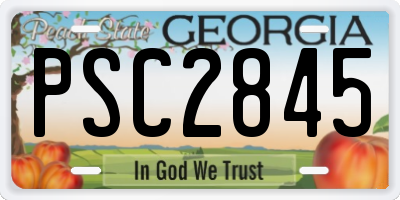 GA license plate PSC2845