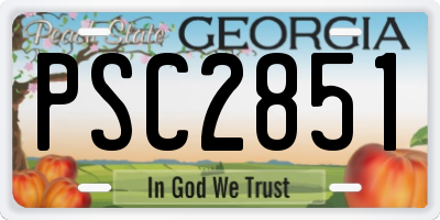 GA license plate PSC2851