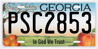 GA license plate PSC2853