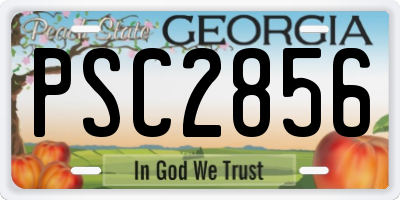 GA license plate PSC2856