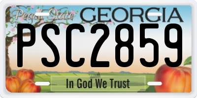 GA license plate PSC2859