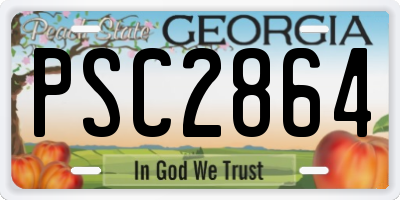 GA license plate PSC2864