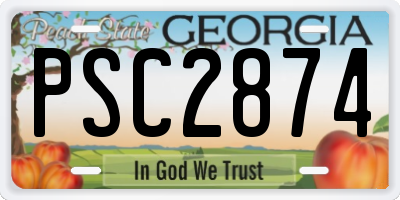 GA license plate PSC2874