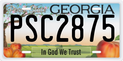GA license plate PSC2875