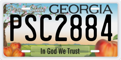 GA license plate PSC2884