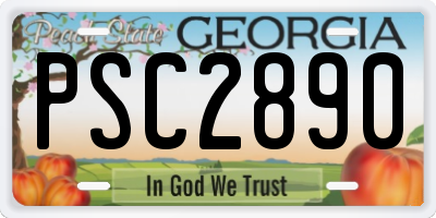 GA license plate PSC2890