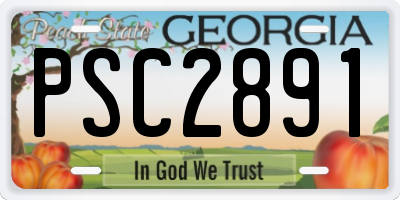 GA license plate PSC2891