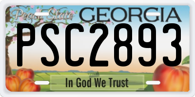 GA license plate PSC2893
