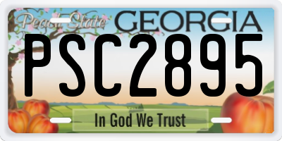 GA license plate PSC2895