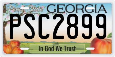 GA license plate PSC2899