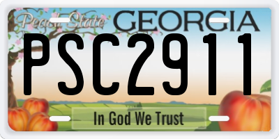 GA license plate PSC2911