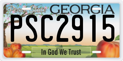 GA license plate PSC2915