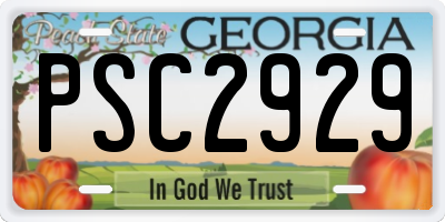 GA license plate PSC2929