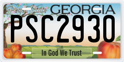 GA license plate PSC2930