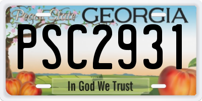 GA license plate PSC2931