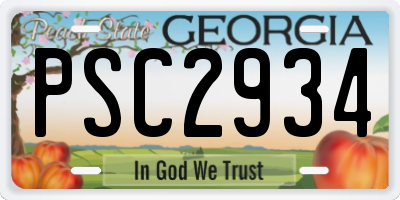 GA license plate PSC2934