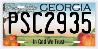 GA license plate PSC2935