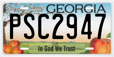 GA license plate PSC2947