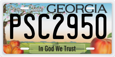 GA license plate PSC2950