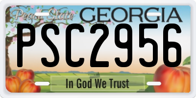 GA license plate PSC2956
