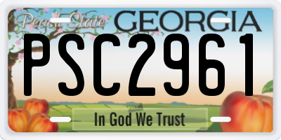 GA license plate PSC2961