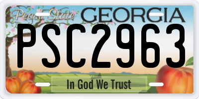 GA license plate PSC2963