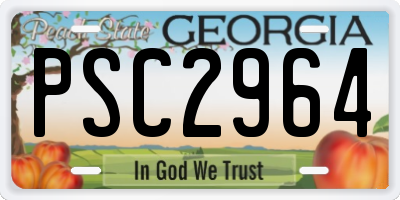 GA license plate PSC2964