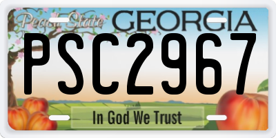GA license plate PSC2967