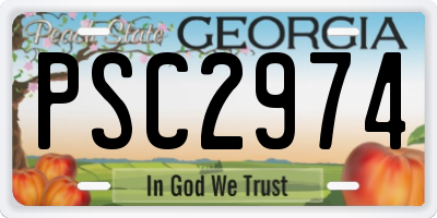 GA license plate PSC2974