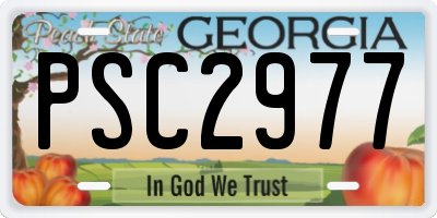 GA license plate PSC2977