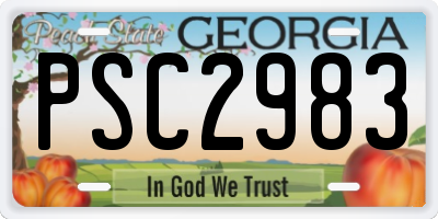 GA license plate PSC2983