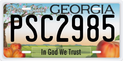 GA license plate PSC2985