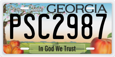 GA license plate PSC2987